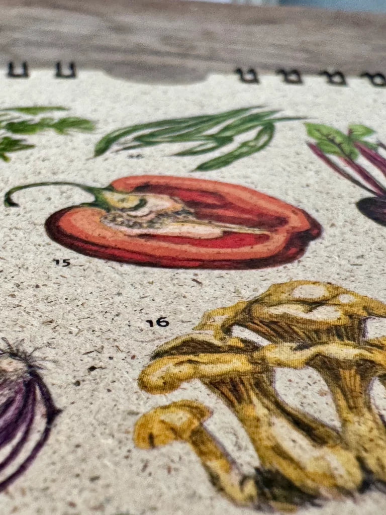 [Cepallo] Saisonkalender für Gemüse & Rezepte