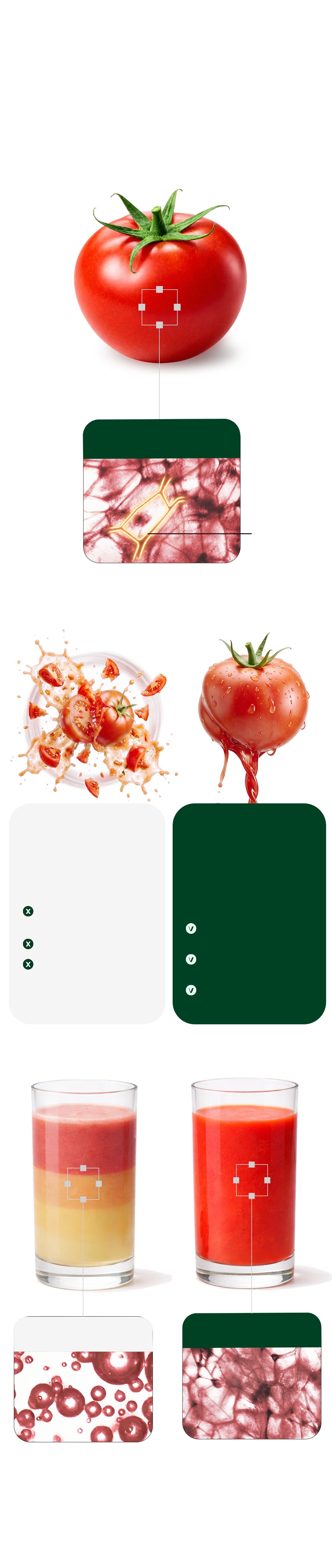 Ein Vergleich mit einer ganzen roten Tomate und zwei mikroskopischen Ansichten ihrer Zellstruktur. Die erste Ansicht zeigt die Zellstruktur einer frischen Tomate, die zweite die Zellstruktur von Hurom Saft, und belegt, dass das Entsaftungsverfahren von Hurom die Zellen intakt lässt.